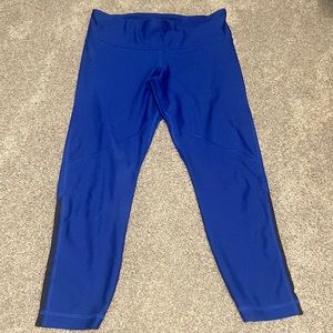 Royal blue and black Under Armor capris.